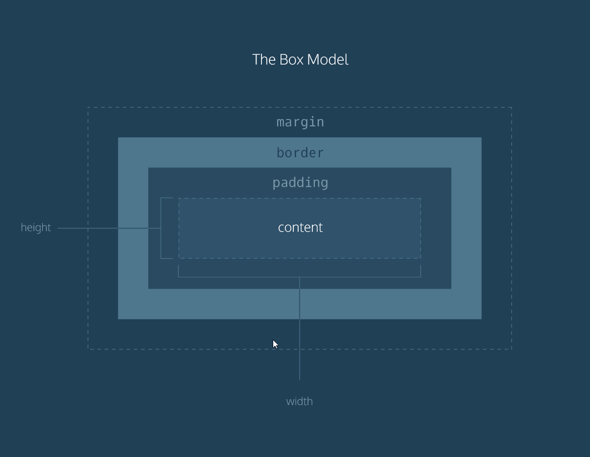 The box model