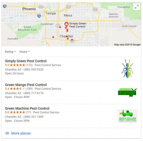 Pest control review example image