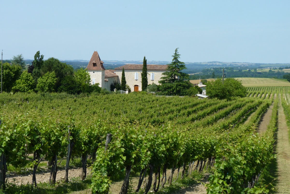 Gascony Wines Part One:  A Beginner’s Guide