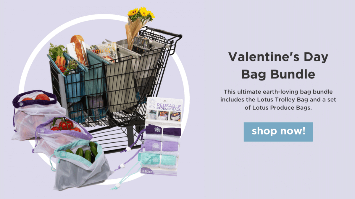 valentines day bag bundle shop now!