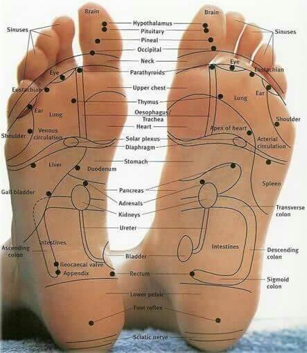 reflexology feet
