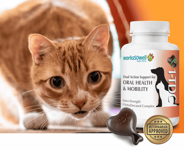 Cole & Marmalade 1TDC Cat supplement