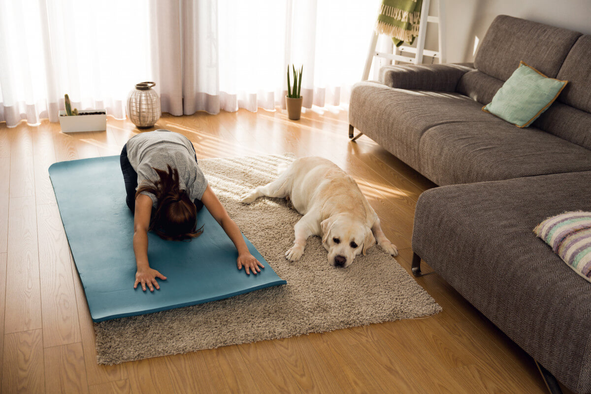How Dog Trainers Can Stay Strong and Healthy