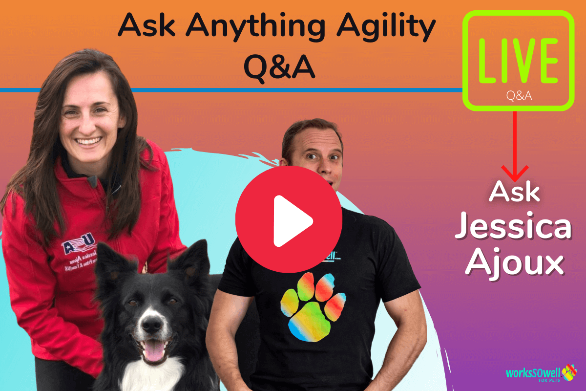 Jessica Ajoux Agility Q&A