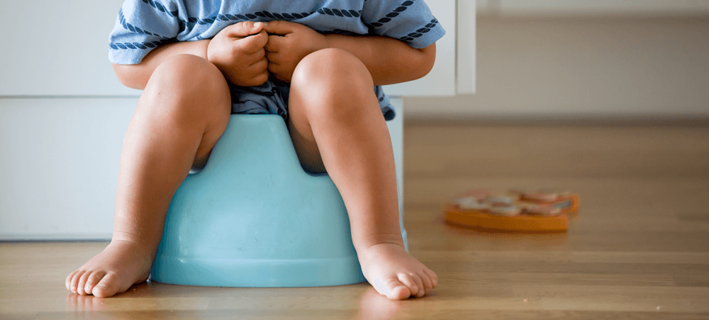 potty training tips step by step guide
