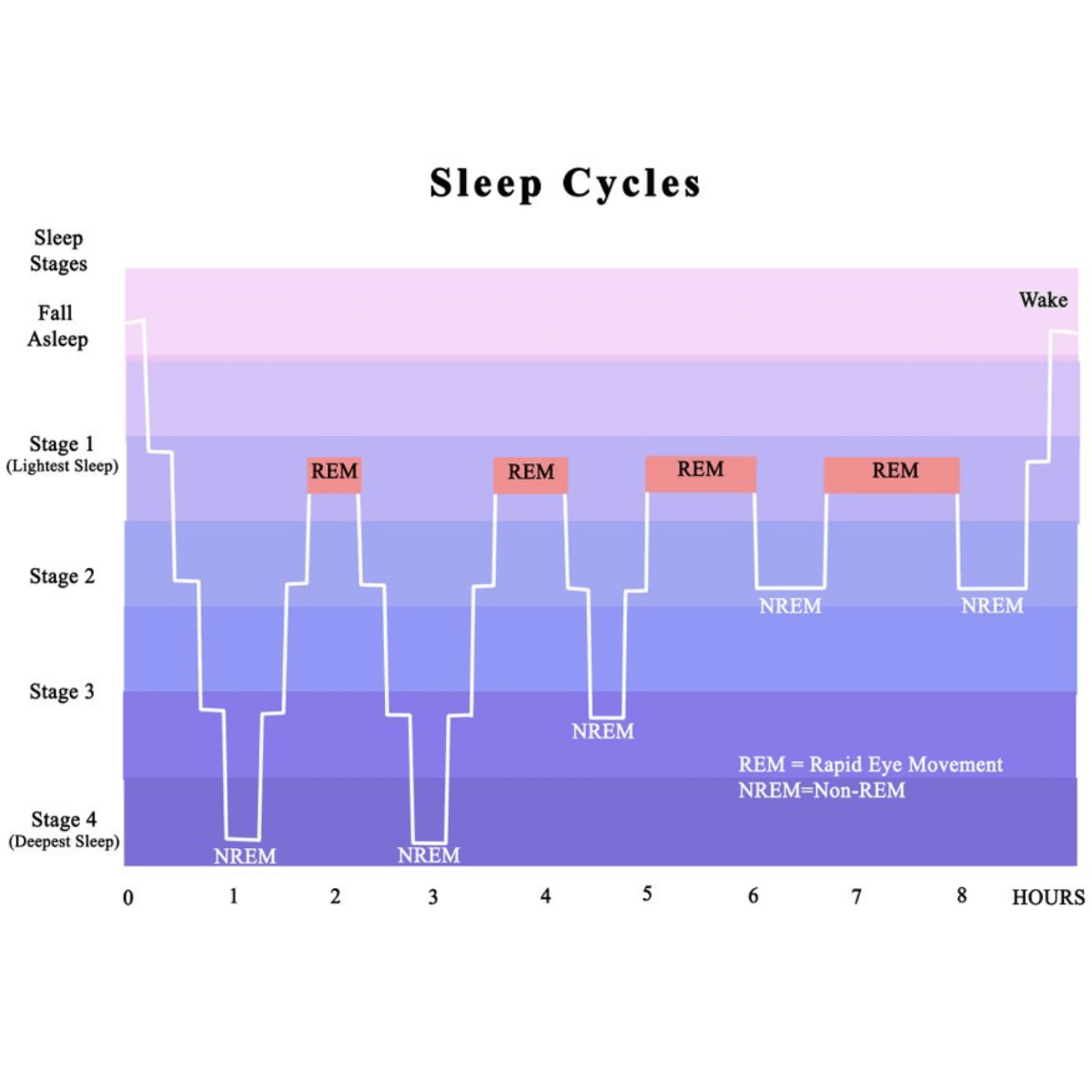 sleep cycles chart - rem sleep